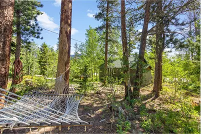 11614 Peak To Peak Hwy, Allenspark, CO 80510 - Photo 27