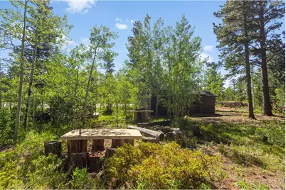 11614 Peak To Peak Hwy, Allenspark, CO 80510 - Photo 29