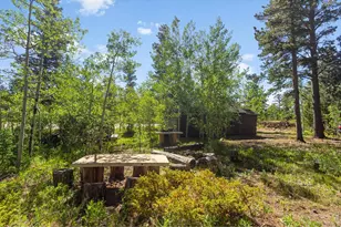 11614 Peak To Peak Hwy, Allenspark, CO 80510 - Photo 29