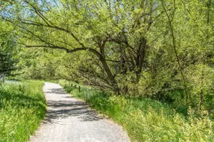 8022 Countryside Park, Niwot, CO 80503 - Photo 41