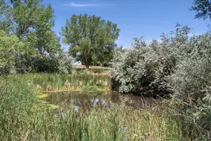 6291 County Rd 20, Longmont, CO 80504 - Photo 5