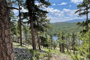 1091 Osage Trail, Red Feather Lakes, CO 80545 - Photo 1