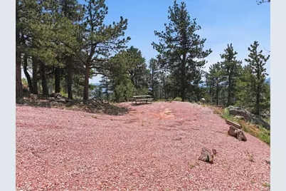 1091 Osage Trl, Red Feather Lakes, CO 80545 - Photo 3