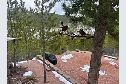 412 Mescalero Dr, Red Feather Lakes, CO 80545 - Photo 25
