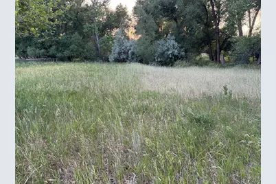 6608 W County Road 20, Loveland, CO 80537 - Photo 29