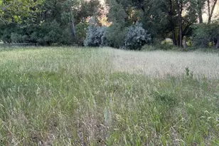 6608 W Co Rd 20, Loveland, CO 80537 - Photo 29