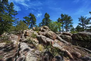 17311 W County Rd 74e, Red Feather Lakes, CO 80545 - Photo 35