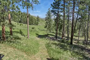 12592 Rist Canyon Rd, Bellvue, CO 80512 - Photo 45