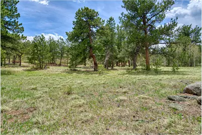 73 Sparn Way, Ward, CO 80481 - Photo 1