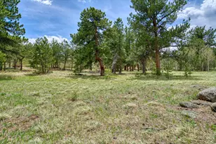73 Sparn Way, Ward, CO 80481 - Photo 1