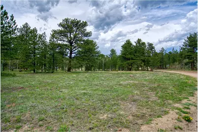 73 Sparn Way, Ward, CO 80481 - Photo 9