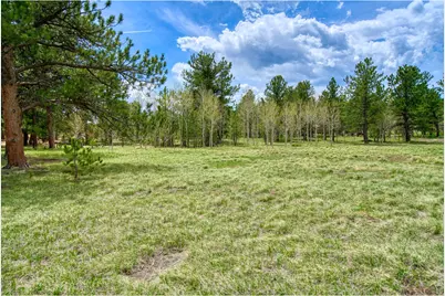 73 Sparn Way, Ward, CO 80481 - Photo 3