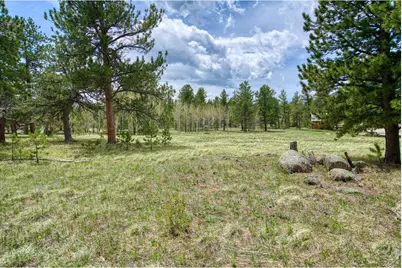 73 Sparn Way, Ward, CO 80481 - Photo 7