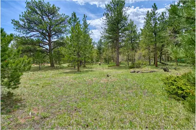 73 Sparn Way, Ward, CO 80481 - Photo 11