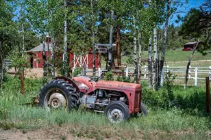 204 Coughlin Meadows Rd, Boulder, CO 80302 - Photo 19