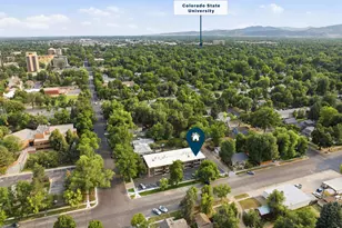 233 N Meldrum St, Fort Collins, CO 80521 - Photo 19