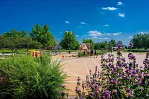 622 Dahlia Way, Louisville, CO 80027 - Photo 35