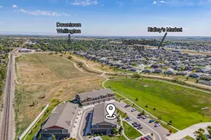 3663 Ronald Reagan Ave, Wellington, CO 80549 - Photo 35