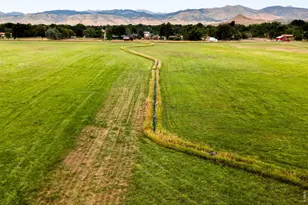 6789 Niwot Rd, Longmont, CO 80503 - Photo 5