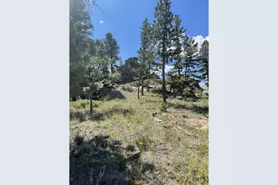 35 Robin Path, Red Feather Lakes, CO 80545 - Photo 21