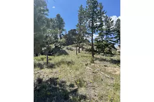 35 Robin Path, Red Feather Lakes, CO 80545 - Photo 21