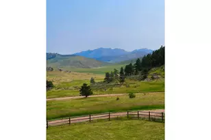 115 Paca View Ct, Livermore, CO 80536 - Photo 27