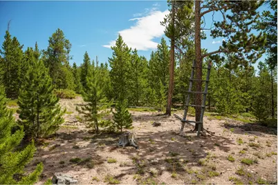 410 Pearl Creek Rd, Red Feather Lakes, CO 80545 - Photo 37