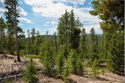 410 Pearl Creek Rd, Red Feather Lakes, CO 80545 - Photo 39