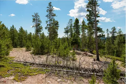 410 Pearl Creek Rd, Red Feather Lakes, CO 80545 - Photo 41