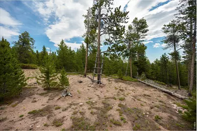 410 Pearl Creek Rd, Red Feather Lakes, CO 80545 - Photo 11