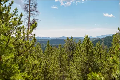 410 Pearl Creek Rd, Red Feather Lakes, CO 80545 - Photo 43
