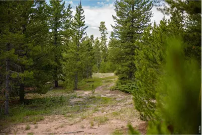 410 Pearl Creek Rd, Red Feather Lakes, CO 80545 - Photo 31