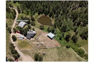 1154 Spring Valley Rd, Bellvue, CO 80512 - Photo 29