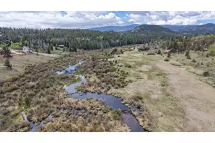 388 Shasta Way, Red Feather Lakes, CO 80545 - Photo 47