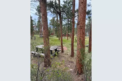 79 Alpine Ln, Red Feather Lakes, CO 80545 - Photo 17