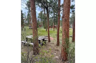 79 Alpine Ln, Red Feather Lakes, CO 80545 - Photo 17