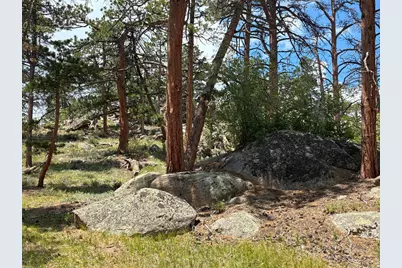 79 Alpine Ln, Red Feather Lakes, CO 80545 - Photo 9