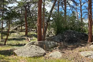79 Alpine Ln, Red Feather Lakes, CO 80545 - Photo 9