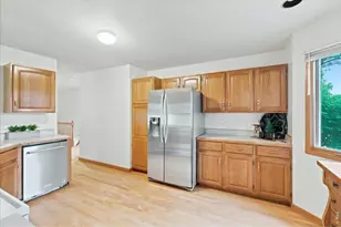 1003 Medicine Man Ct, Windsor, CO 80550 - Photo 9