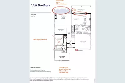 4183 Strolling St, Timnath, CO 80547 - Photo 3