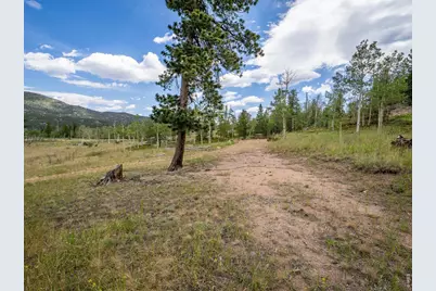 22 Tami Rd, Red Feather Lakes, CO 80545 - Photo 5