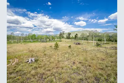 22 Tami Rd, Red Feather Lakes, CO 80545 - Photo 9