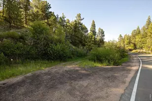 10763 Twin Spruce Rd, Golden, CO 80403 - Photo 31