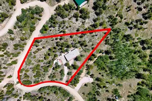 1346 Osage Trail, Red Feather Lakes, CO 80545 - Photo 47