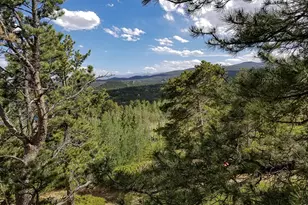 1346 Osage Trail, Red Feather Lakes, CO 80545 - Photo 9
