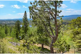 1346 Osage Trail, Red Feather Lakes, CO 80545 - Photo 11