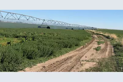 County Road 70, Eaton, CO 80615 - Photo 1