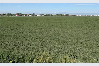 County Road 70, Eaton, CO 80615 - Photo 5