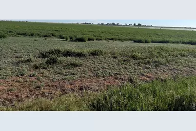 County Road 70, Eaton, CO 80615 - Photo 11