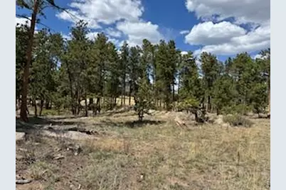 2215 Fox Acres Dr E, Red Feather Lakes, CO 80545 - Photo 17